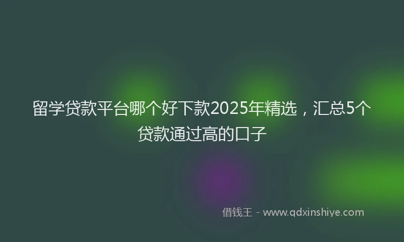 留学贷款平台哪个好下款2025年精选，汇总5个贷款通过高的口子