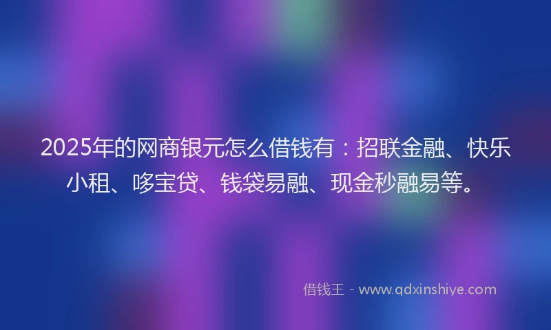 2025年的网商银元怎么借钱有：招联金融、快乐小租、哆宝贷、钱袋易融、现金秒融易等。