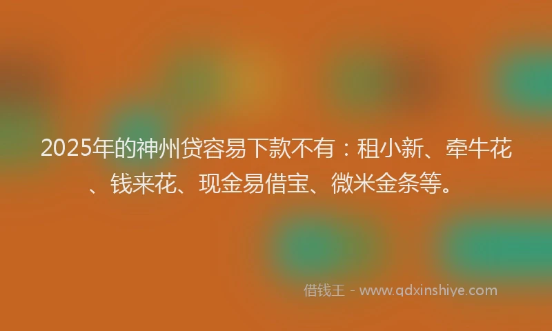 2025年的神州贷容易下款不有：租小新、牵牛花、钱来花、现金易借宝、微米金条等。