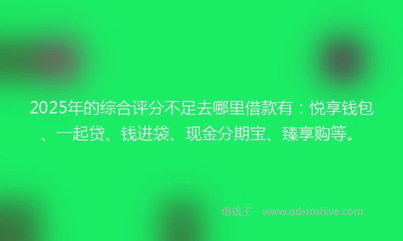 2025年的综合评分不足去哪里借款有：悦享钱包、一起贷、钱进袋、现金分期宝、臻享购等。