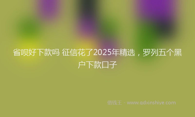 省呗好下款吗 征信花了2025年精选，罗列五个黑户下款口子