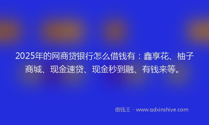 2025年的网商贷银行怎么借钱有：鑫享花、柚子商城、现金速贷、现金秒到融、有钱来等。