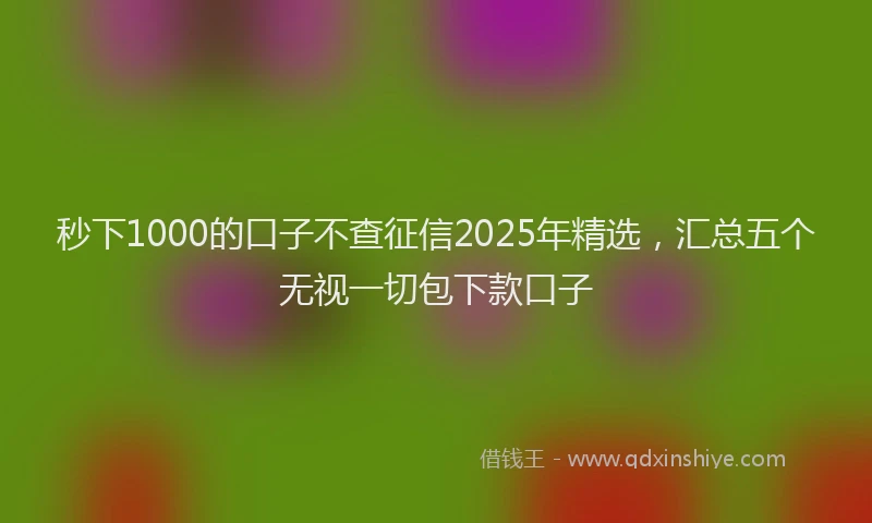 秒下1000的口子不查征信2025年精选，汇总五个无视一切包下款口子