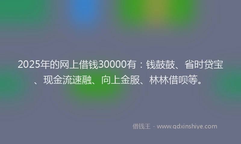 2025年的网上借钱30000有：钱鼓鼓、省时贷宝、现金流速融、向上金服、林林借呗等。