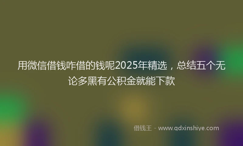 用微信借钱咋借的钱呢2025年精选，总结五个无论多黑有公积金就能下款
