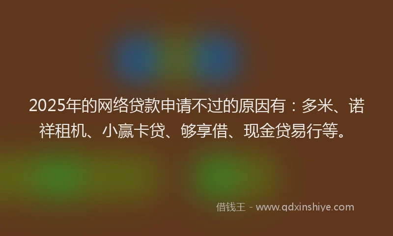 2025年的网络贷款申请不过的原因有：多米、诺祥租机、小赢卡贷、够享借、现金贷易行等。