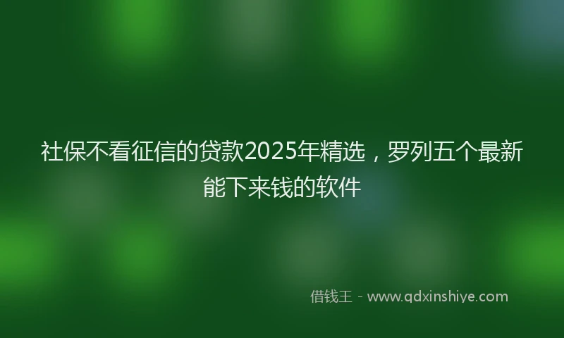 社保不看征信的贷款2025年精选，罗列五个最新能下来钱的软件