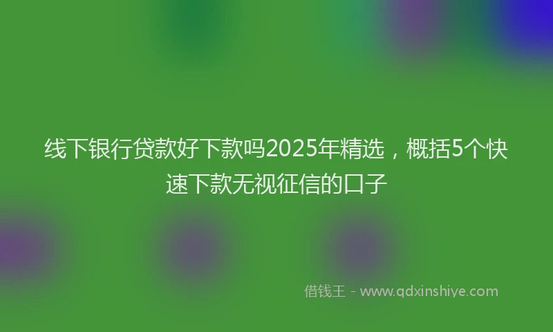 线下银行贷款好下款吗2025年精选，概括5个快速下款无视征信的口子