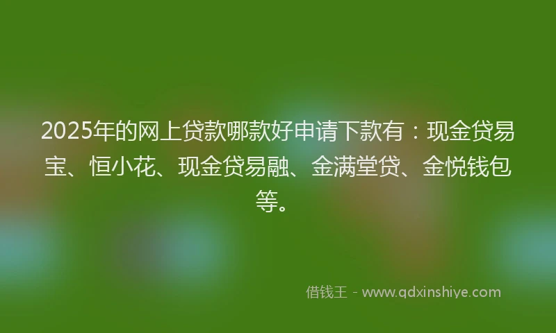 2025年的网上贷款哪款好申请下款有：现金贷易宝、恒小花、现金贷易融、金满堂贷、金悦钱包等。