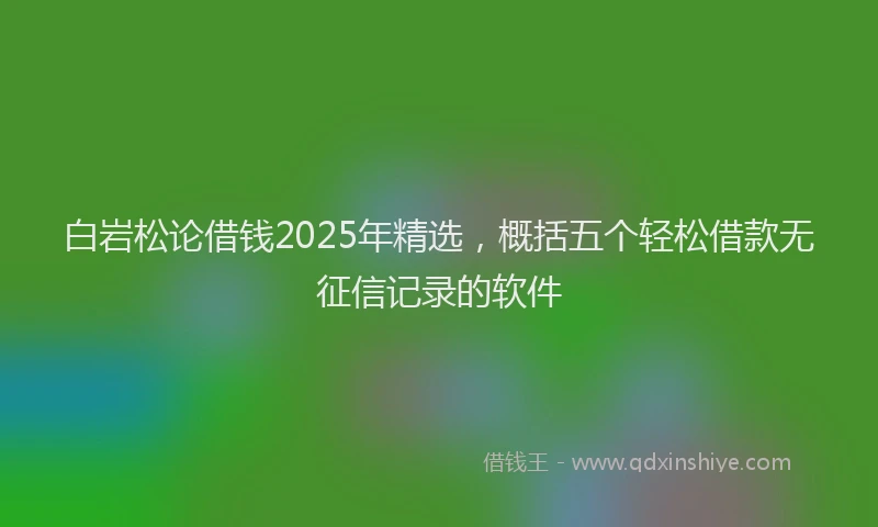 白岩松论借钱2025年精选，概括五个轻松借款无征信记录的软件
