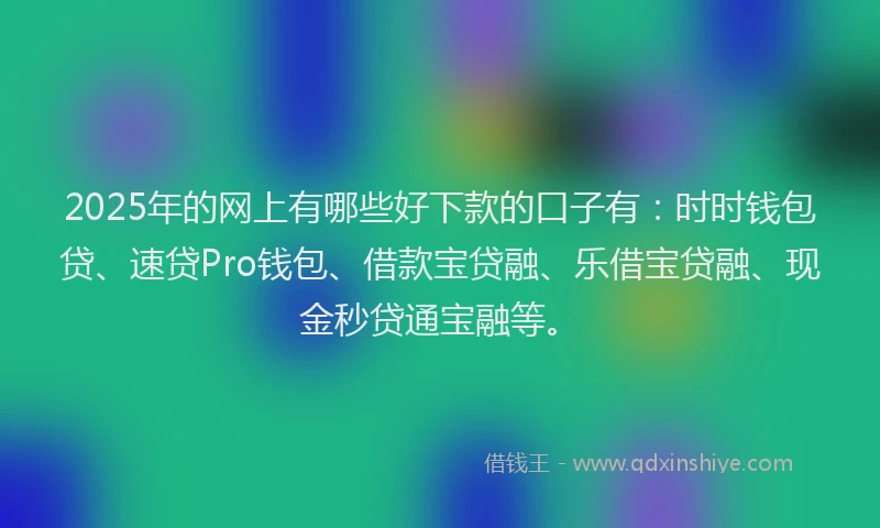 2025年的网上有哪些好下款的口子有：时时钱包贷、速贷Pro钱包、借款宝贷融、乐借宝贷融、现金秒贷通宝融等。