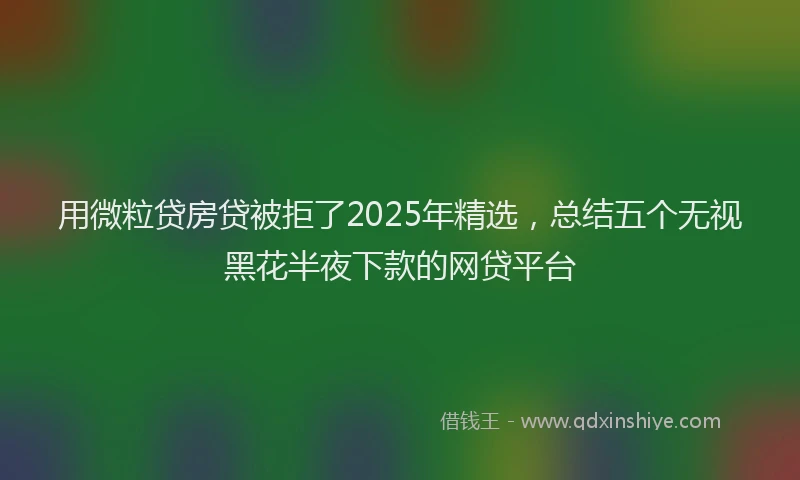 用微粒贷房贷被拒了2025年精选，总结五个无视黑花半夜下款的网贷平台