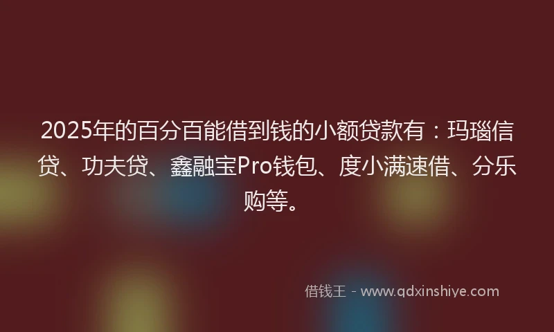 2025年的百分百能借到钱的小额贷款有：玛瑙信贷、功夫贷、鑫融宝Pro钱包、度小满速借、分乐购等。