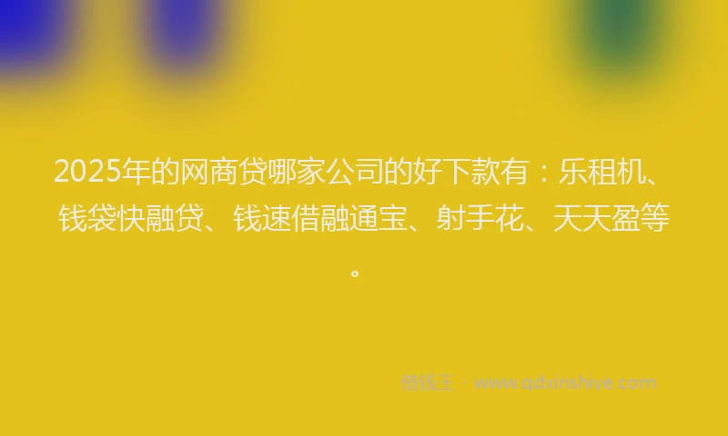 2025年的网商贷哪家公司的好下款有：乐租机、钱袋快融贷、钱速借融通宝、射手花、天天盈等。