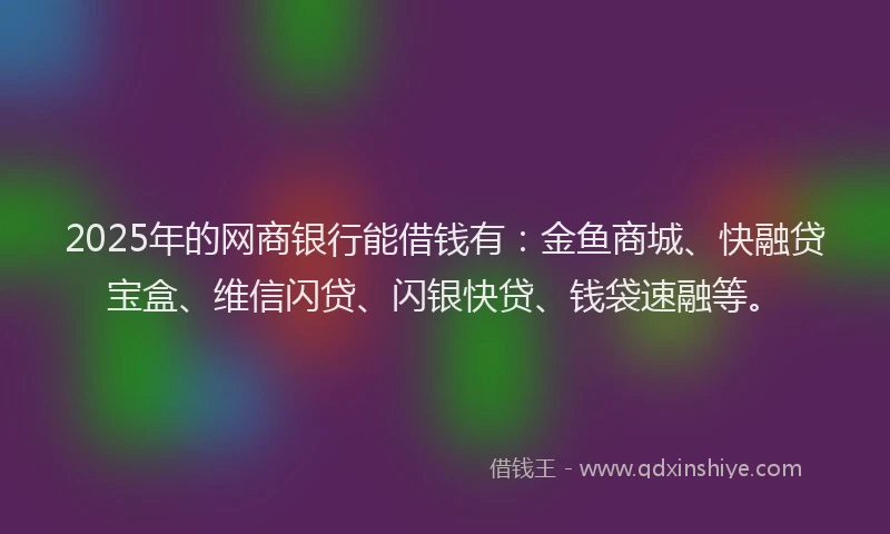 2025年的网商银行能借钱有：金鱼商城、快融贷宝盒、维信闪贷、闪银快贷、钱袋速融等。