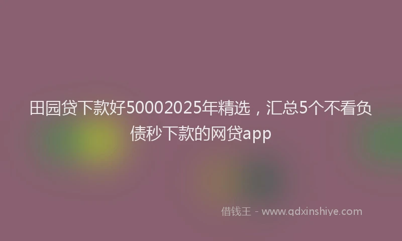 田园贷下款好50002025年精选，汇总5个不看负债秒下款的网贷app
