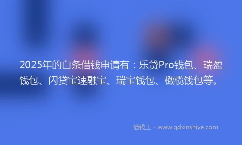 2025年的白条借钱申请有：乐贷Pro钱包、瑞盈钱包、闪贷宝速融宝、瑞宝钱包、橄榄钱包等。