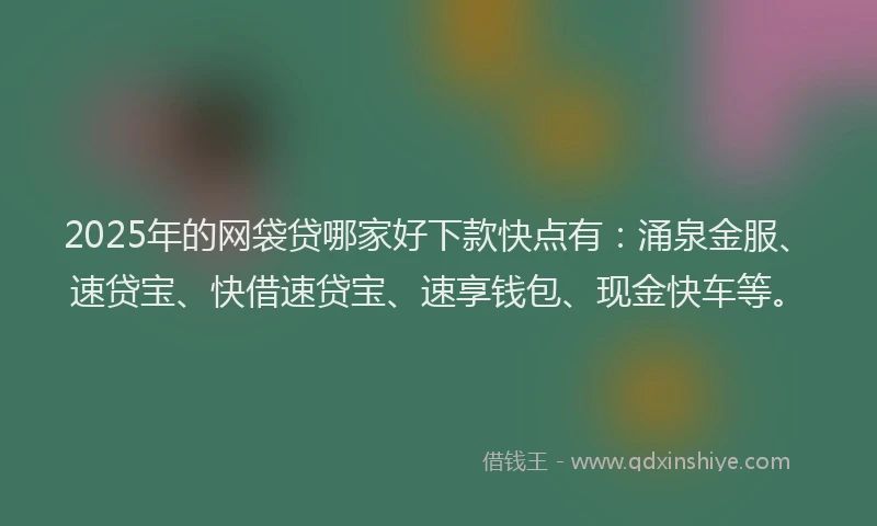 2025年的网袋贷哪家好下款快点有：涌泉金服、速贷宝、快借速贷宝、速享钱包、现金快车等。