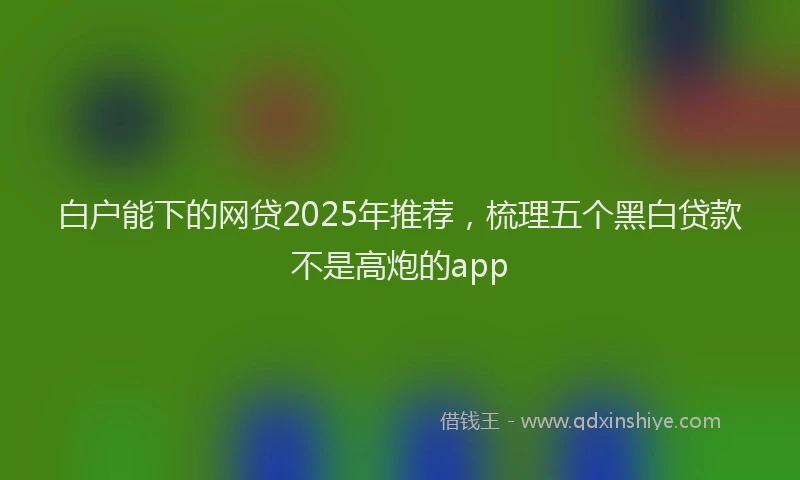 白户能下的网贷2025年推荐，梳理五个黑白贷款不是高炮的app