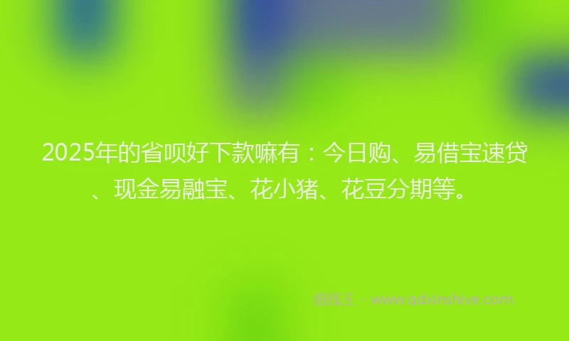 2025年的省呗好下款嘛有：今日购、易借宝速贷、现金易融宝、花小猪、花豆分期等。