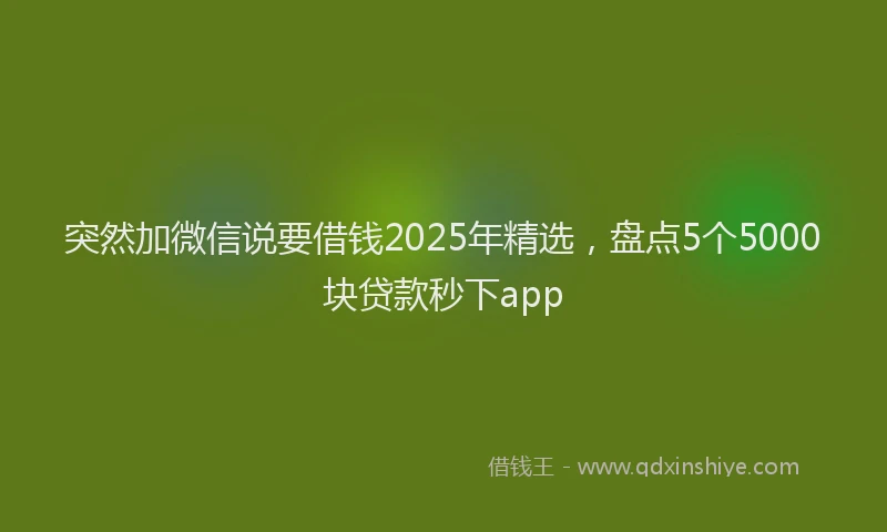 突然加微信说要借钱2025年精选，盘点5个5000块贷款秒下app