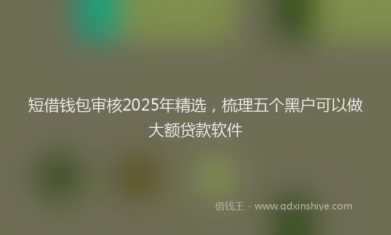 短借钱包审核2025年精选，梳理五个黑户可以做大额贷款软件