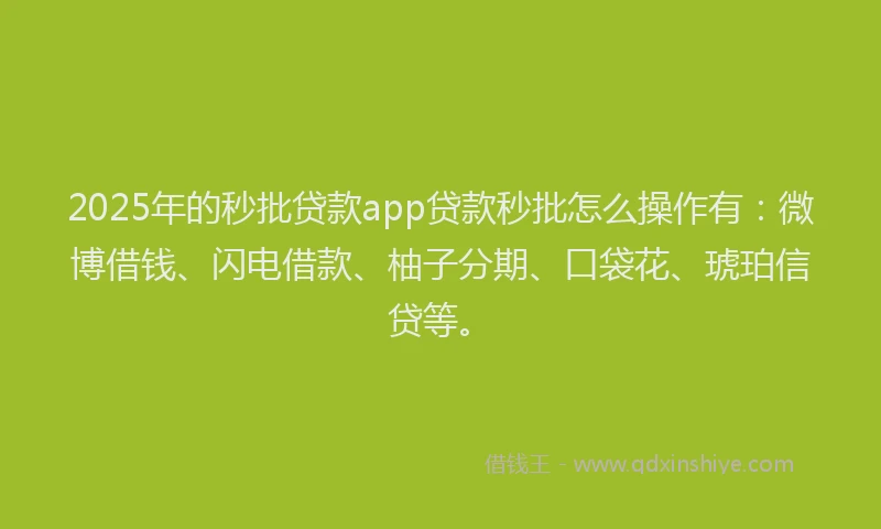 2025年的秒批贷款app贷款秒批怎么操作有：微博借钱、闪电借款、柚子分期、口袋花、琥珀信贷等。