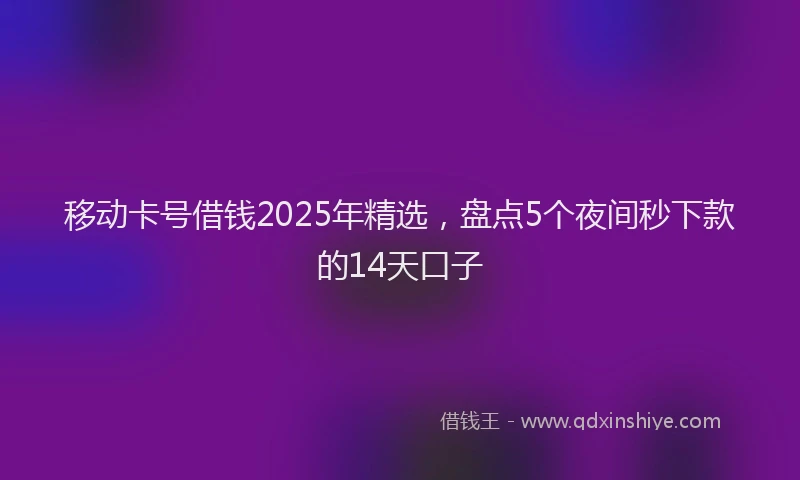 移动卡号借钱2025年精选，盘点5个夜间秒下款的14天口子