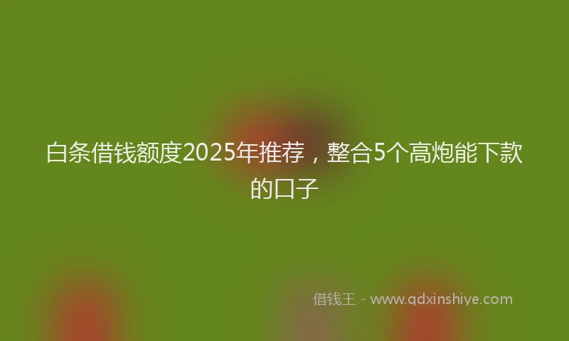 白条借钱额度2025年推荐，整合5个高炮能下款的口子