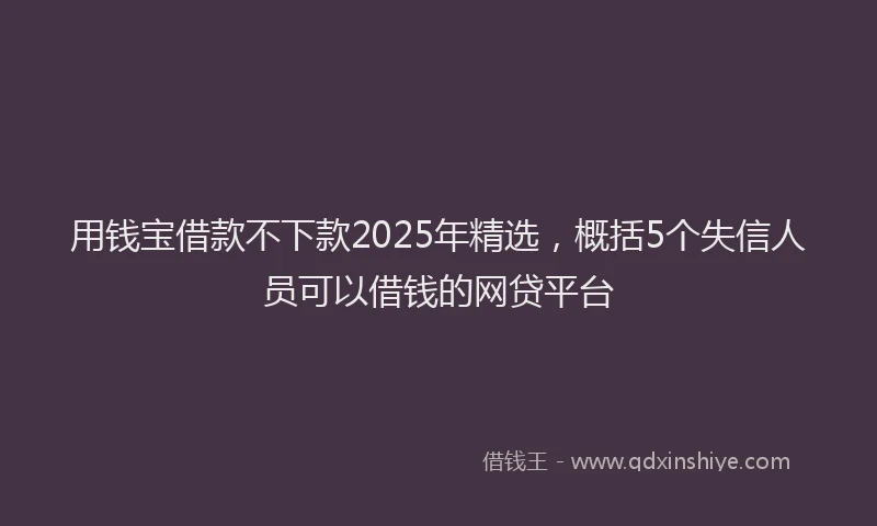 用钱宝借款不下款2025年精选，概括5个失信人员可以借钱的网贷平台