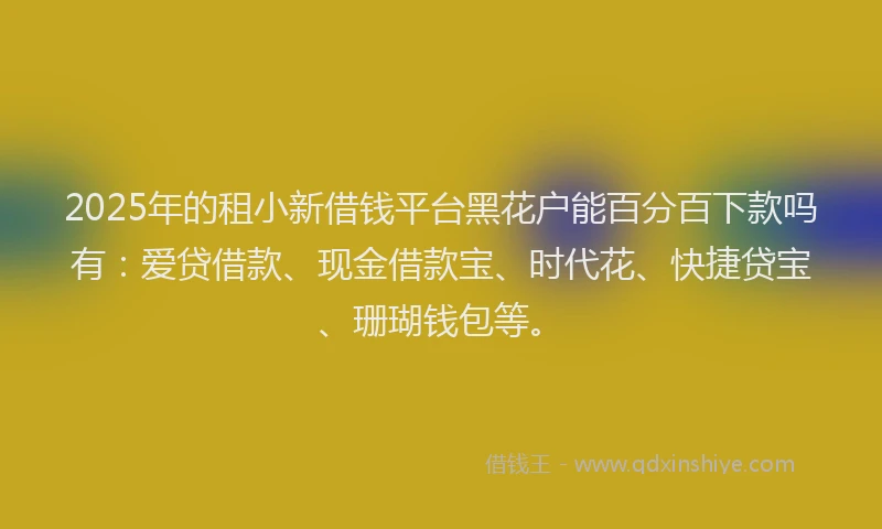 2025年的租小新借钱平台黑花户能百分百下款吗有：爱贷借款、现金借款宝、时代花、快捷贷宝、珊瑚钱包等。