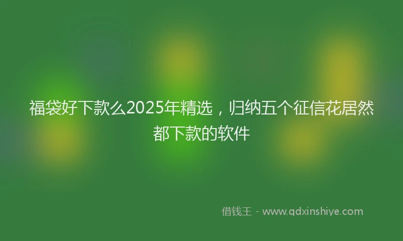 福袋好下款么2025年精选，归纳五个征信花居然都下款的软件