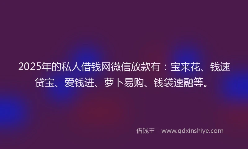 2025年的私人借钱网微信放款有：宝来花、钱速贷宝、爱钱进、萝卜易购、钱袋速融等。