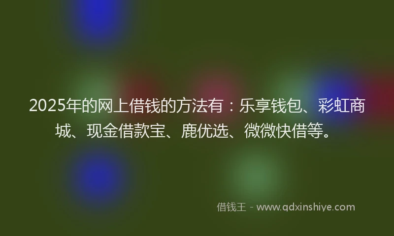 2025年的网上借钱的方法有：乐享钱包、彩虹商城、现金借款宝、鹿优选、微微快借等。