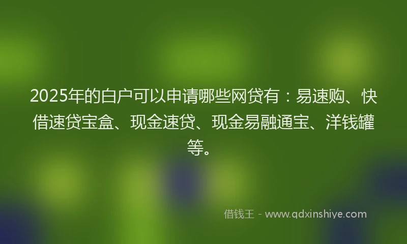 2025年的白户可以申请哪些网贷有：易速购、快借速贷宝盒、现金速贷、现金易融通宝、洋钱罐等。