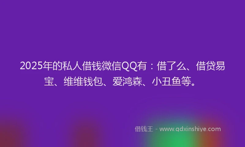 2025年的私人借钱微信QQ有：借了么、借贷易宝、维维钱包、爱鸿森、小丑鱼等。
