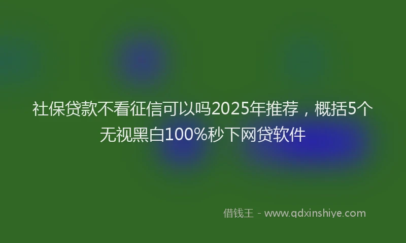 社保贷款不看征信可以吗2025年推荐，概括5个无视黑白100%秒下网贷软件