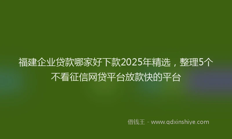 福建企业贷款哪家好下款2025年精选，整理5个不看征信网贷平台放款快的平台