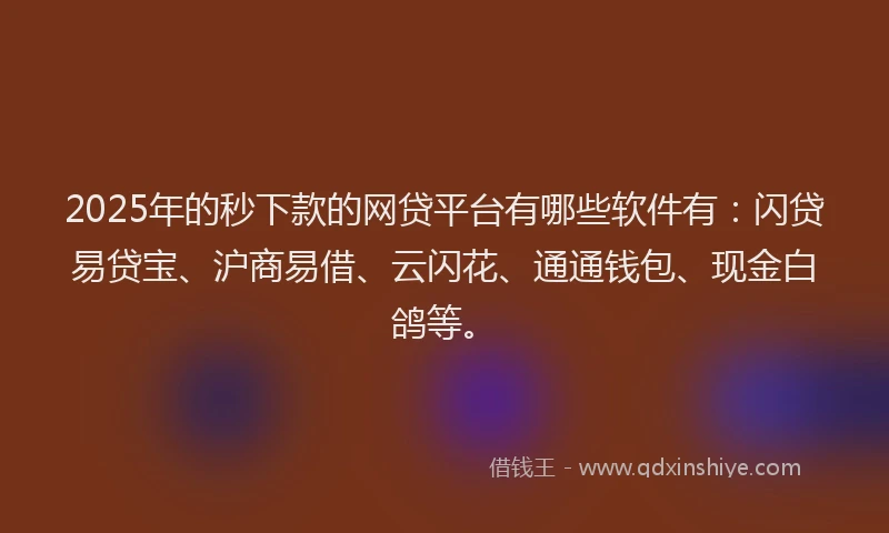 2025年的秒下款的网贷平台有哪些软件有：闪贷易贷宝、沪商易借、云闪花、通通钱包、现金白鸽等。