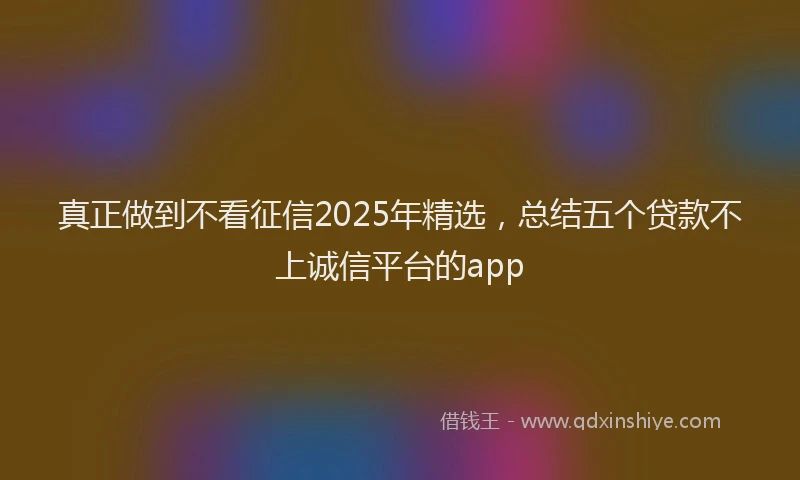 真正做到不看征信2025年精选，总结五个贷款不上诚信平台的app
