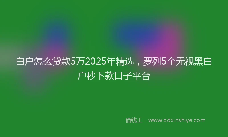 白户怎么贷款5万2025年精选，罗列5个无视黑白户秒下款口子平台