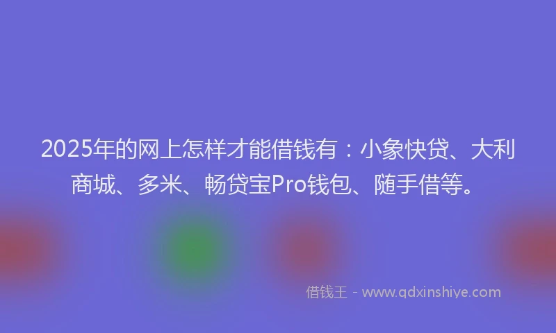 2025年的网上怎样才能借钱有：小象快贷、大利商城、多米、畅贷宝Pro钱包、随手借等。