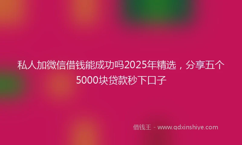 私人加微信借钱能成功吗2025年精选，分享五个5000块贷款秒下口子