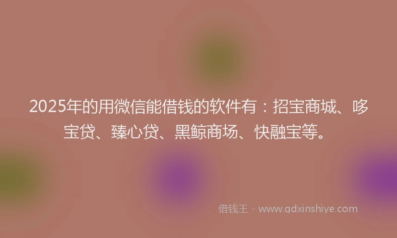 2025年的用微信能借钱的软件有：招宝商城、哆宝贷、臻心贷、黑鲸商场、快融宝等。