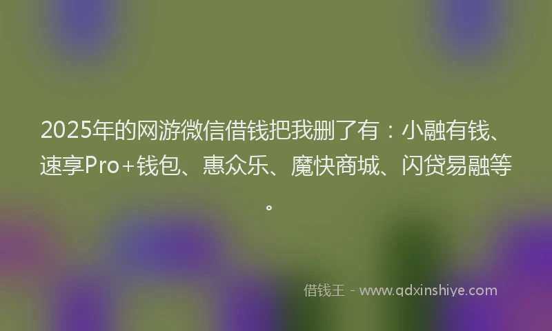 2025年的网游微信借钱把我删了有：小融有钱、速享Pro+钱包、惠众乐、魔快商城、闪贷易融等。