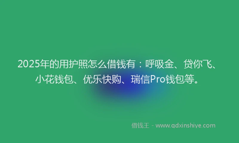 2025年的用护照怎么借钱有：呼吸金、贷你飞、小花钱包、优乐快购、瑞信Pro钱包等。