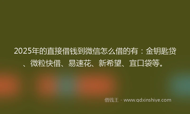 2025年的直接借钱到微信怎么借的有：金钥匙贷、微粒快借、易速花、新希望、宜口袋等。