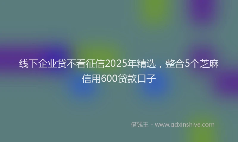线下企业贷不看征信2025年精选，整合5个芝麻信用600贷款口子