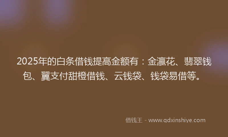 2025年的白条借钱提高金额有：金瀛花、翡翠钱包、翼支付甜橙借钱、云钱袋、钱袋易借等。