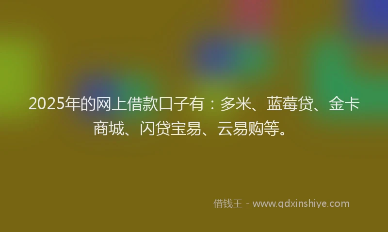 2025年的网上借款口子有：多米、蓝莓贷、金卡商城、闪贷宝易、云易购等。